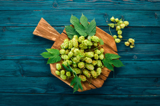 istock Hops. On the old wooden background. Free space for text. Top view. 1037286828