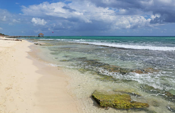 istock Playa del Carmen 1037300810