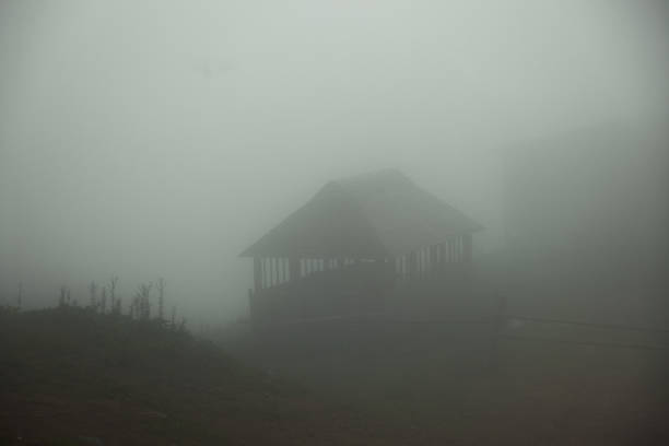 istock foggy summer morning 1037308642