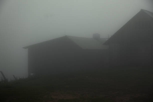 istock foggy summer morning 1037309326
