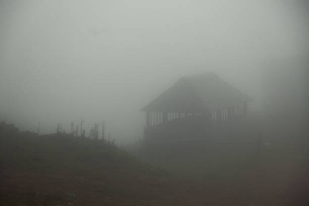 istock foggy summer morning 1037309722
