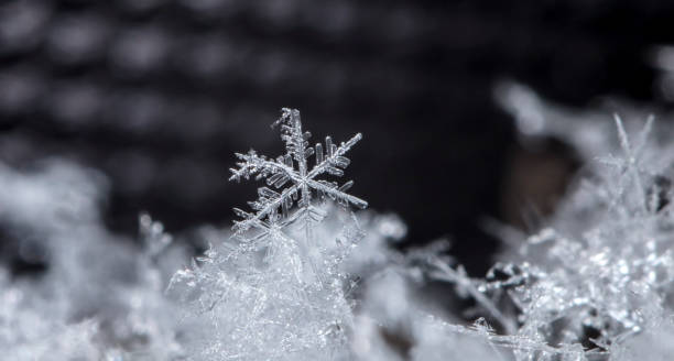 istock snowflake in the snow, winter 1037312408