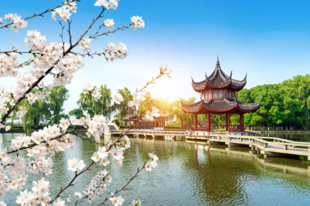 Chinese style nine curved bridge