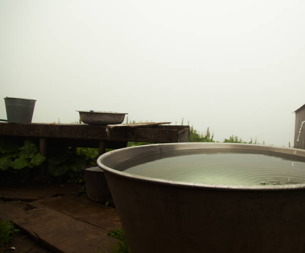 istock foggy summer morning 1037313188