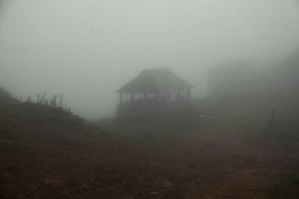 istock foggy summer morning 1037313306