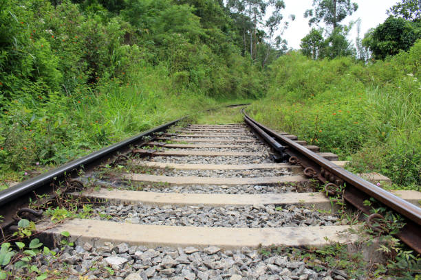 istock Walking on the rail going to or from Ella station. 1037313538