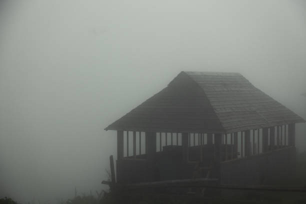 istock foggy summer morning 1037317272