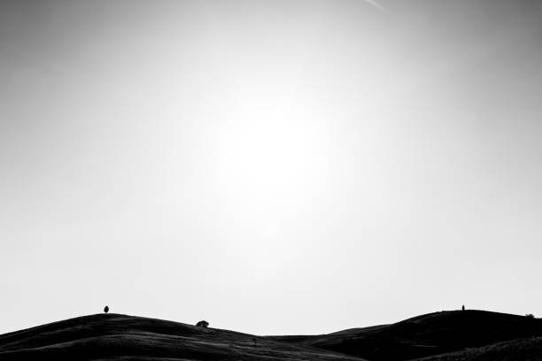 istock Typical Tuscany (Val d'Orcia) landscape, with isolated cypresses trees on curvy hills 1037318088