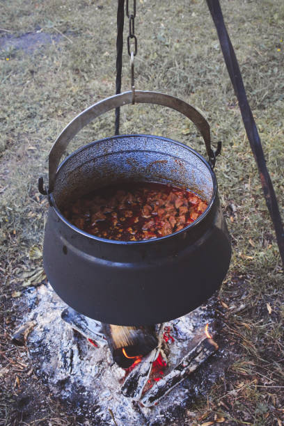 istock Outdoor cooking over campfire in Gerrmany 1037329766