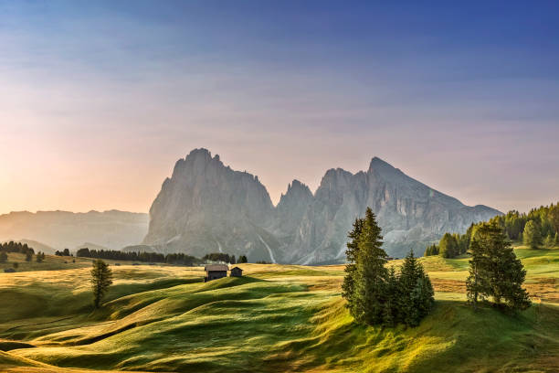 amanecer de alpe di siusi sassolungo o grupo de montaña langkofel en fondo - tirol fotografías e imágenes de stock