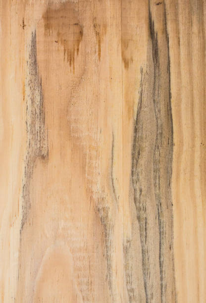 istock Wooden texture background. Beige plank. 1037339498