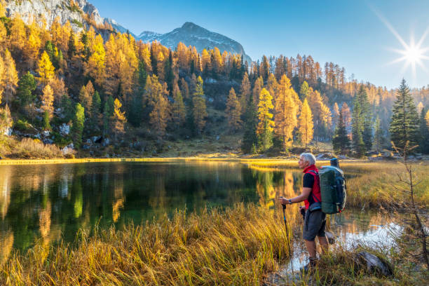 lonely hiker at alpin lake schwarzensee in fall, nationalpark berchtesgaden - alps - koenigsee imagens e fotografias de stock