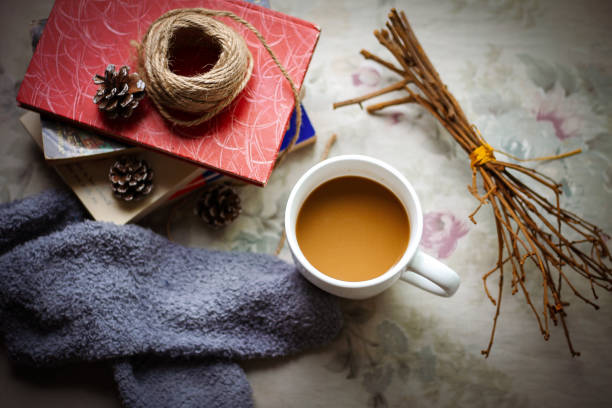 istock Cozy Christmas morning 1037345606