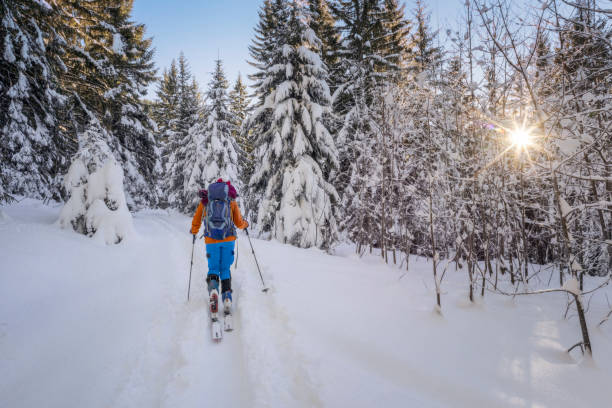 winterwandern ski - skitouren in den alpen - telemark skiing stock-fotos und bilder