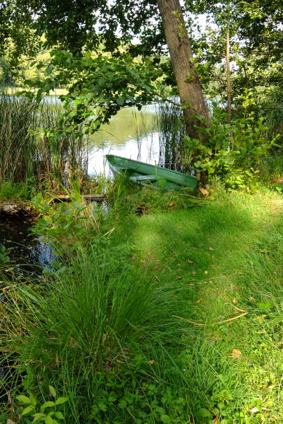 istock Boat on the lake 1037358798