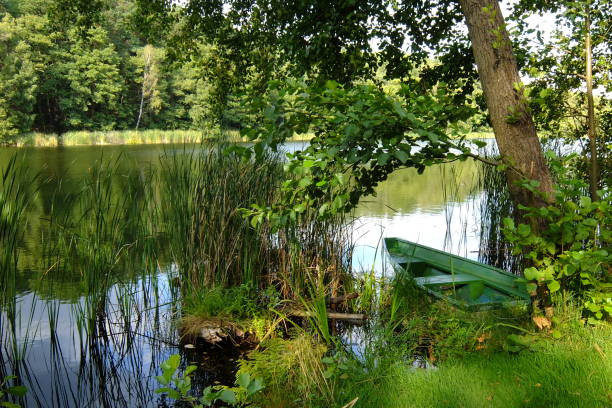 istock Boat on the lake 1037358844