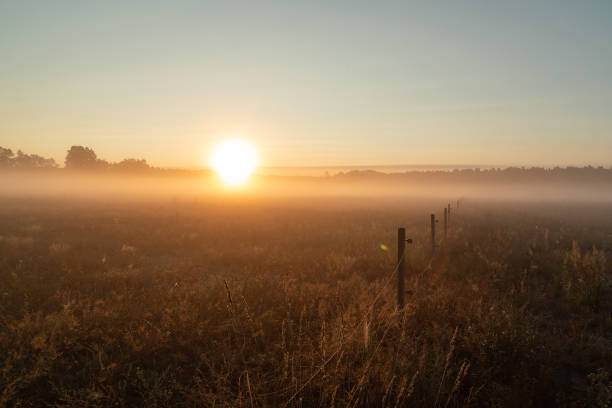 istock Beautiful nature in Germany 1037362184