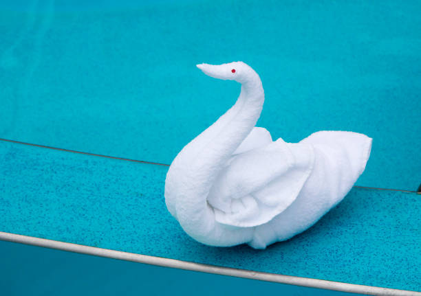 On Board the ship near the pool Stuarts staged an exhibition of figures out of towels.