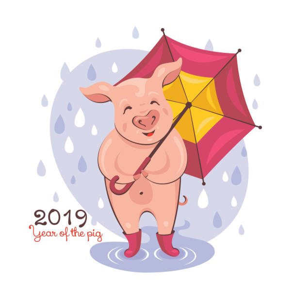 2019 Year of The Pig Greeting Card vector art illustration