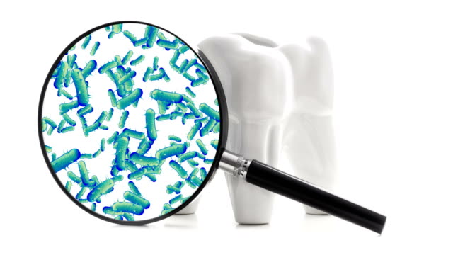 Bacterias and viruses around tooth