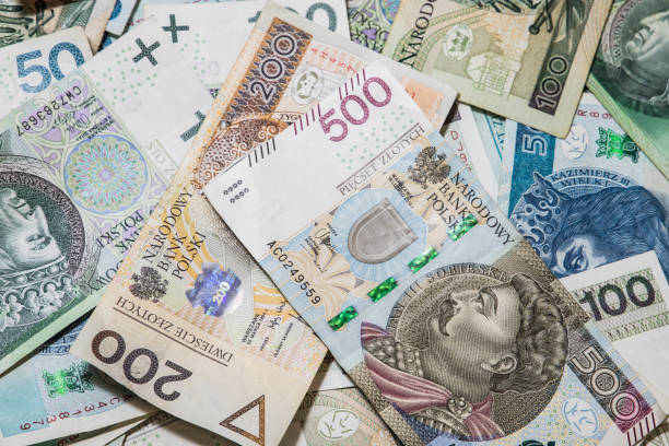 istock Polish money background 1037390488