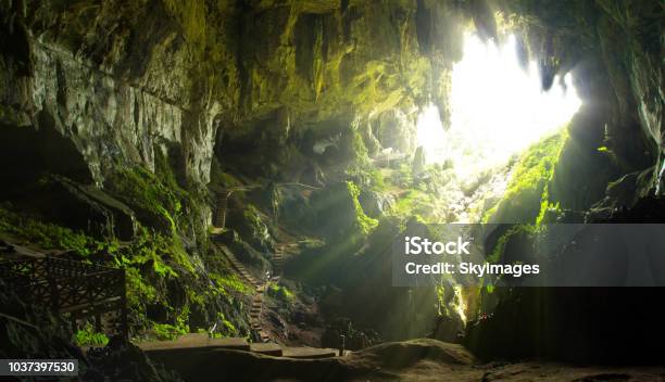Cave Opening In Borneo Malaysia Stock Photo - Download Image Now - Cave, Spelunking, Malaysia