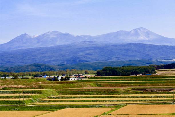 istock Taisetsuzan and autumn fields 1037404634
