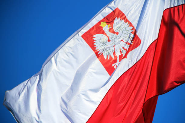 istock flag of Poland 1037405268