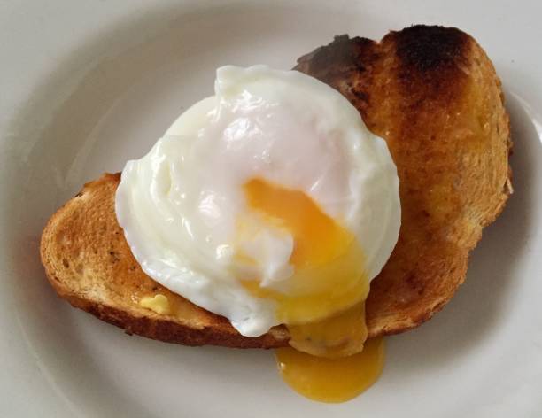 poached egg in toast - poached egg imagens e fotografias de stock