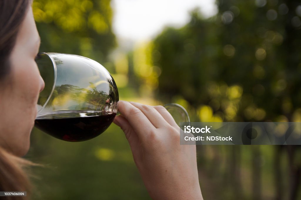 close up of a young woman drinking red wine from a glass in a vineyard girl holding a wine glass surrounded by grapevines Wine Stock Photo