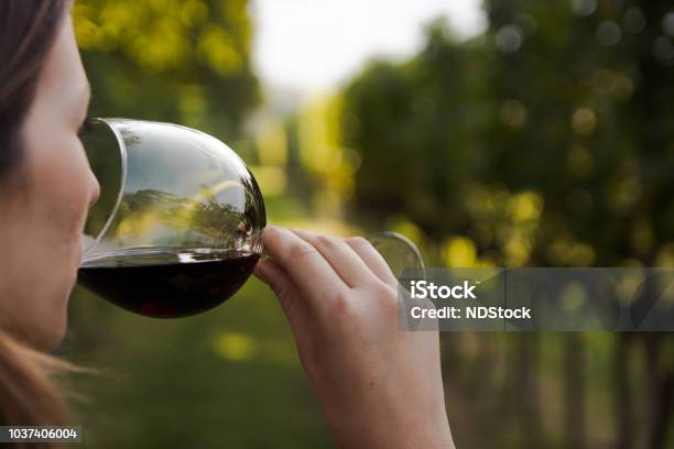 Close Up Of A Young Woman Drinking Red Wine From A Glass In A Vineyard Stock Photo - Download Image Now