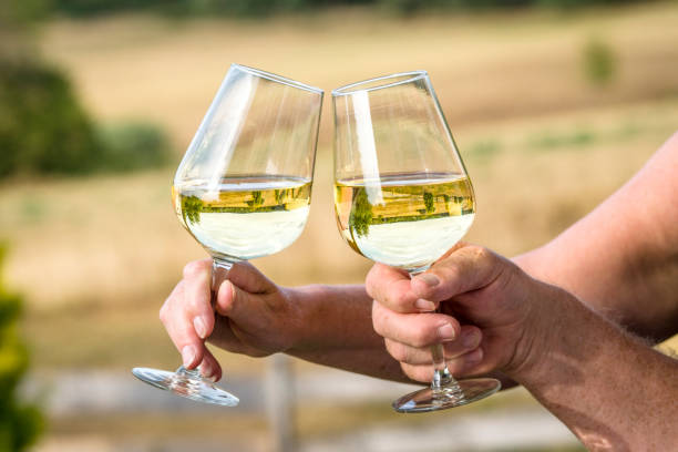 istock Wine glasses with reflections of beautiful nature 1037406844