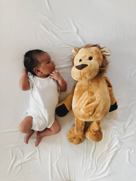 retrato de un bebé recién nacido y su juguete favorito - onesie fotografías e imágenes de stock