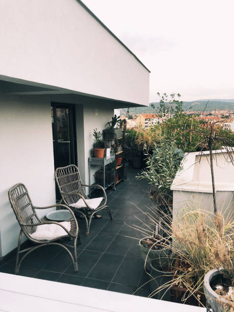 istock Rooftop terrace garden 1037417448