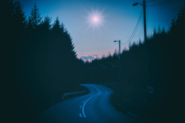 Countryside road with tree silhouettes and bright star.