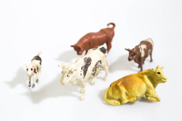 istock Christmas objects, plastic animals cow for nativity diorama isolated in a white background composition 1037437208