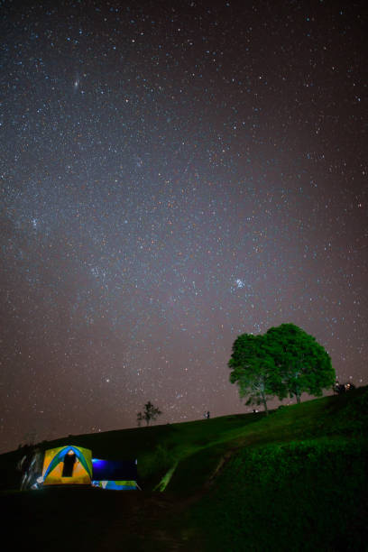 istock Milky way with tree foreground on clear sky 1037440858