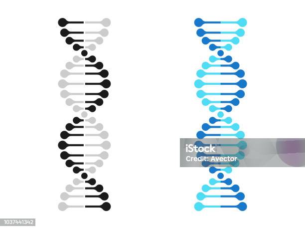 Dna 아이콘 염색체 유전자 벡터 Dna 유전자 나선 분자 DNA에 대한 스톡 벡터 아트 및 기타 이미지 - DNA, 나선 모양 ...
