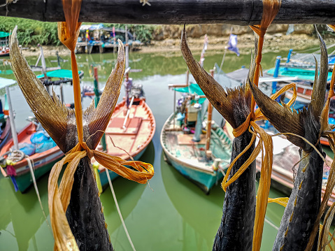 Freshly caught Spanish Mackerel from the Gulf of Thailand hanging up to dry in front of small fishing trawler boats in Hua Hin, Thailand. This fish is a delicacy with Thai locals and is normally dried thoroughly before cooking pieces in Thai recipes.