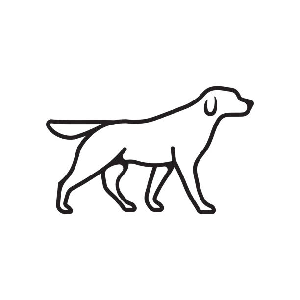 犬アウトライン ベクトル分離フラットまたは線形ペット犬ロゴ アイコン - ラブラドールレトリバー点のイラスト素材／クリップアート素材／マンガ素材／アイコン素材