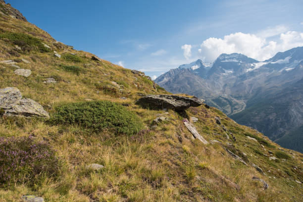 istock mountain landscape swiss alps 1037472888