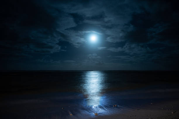 istock The moon rising over the beach at Poste Lafayette in Mauritius. 1037476956