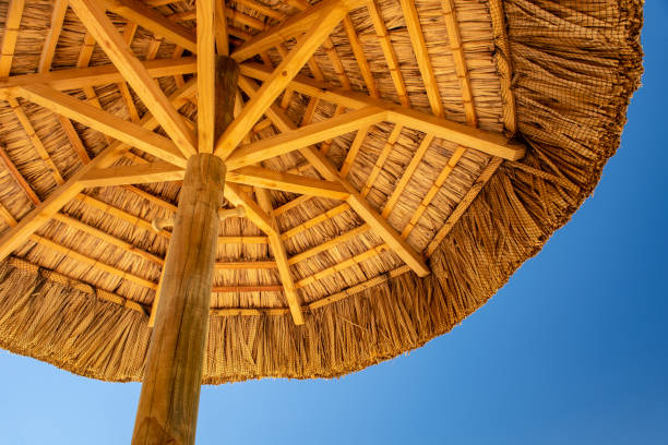 istock Protection from the hot sun of Mauritius. 1037477146
