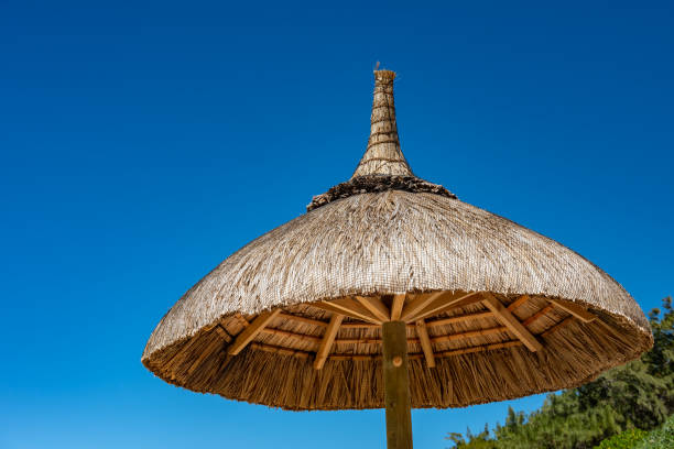 istock Protection from the hot tropical sun at Poste Lafayette in Mauritius. 1037479816