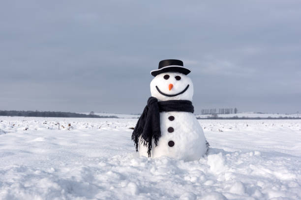 istock Funny snowman in black hat 1037480116
