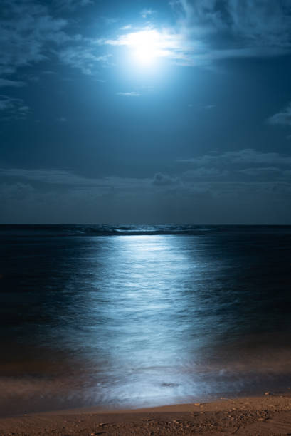 istock Moonrise in Mauritius at the beach in Poste Lafayette. 1037480364