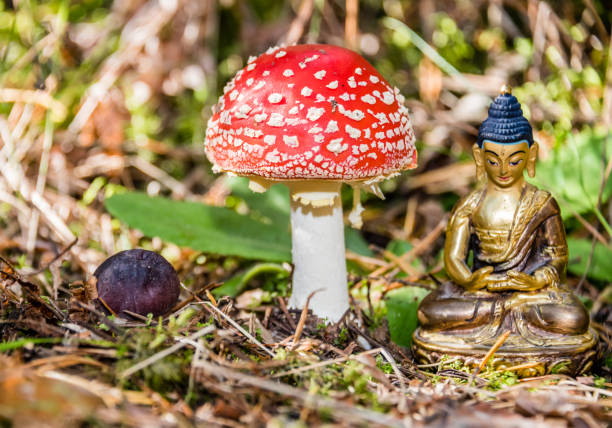 Golden Tibetan Buddha in a Forest