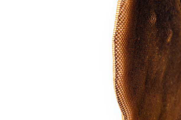 istock Hoenycomb close up and isolated 1037483034
