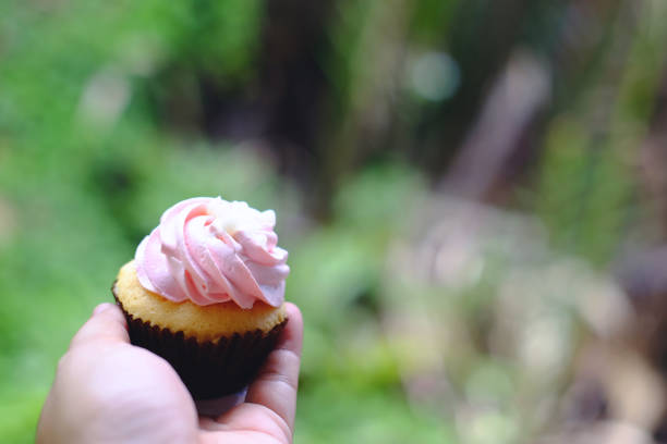 Woman hand holding Pink cup cake in nature background.Copy Space