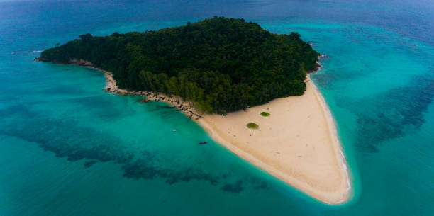 istock Bamboo Island, Thailand 1037494010